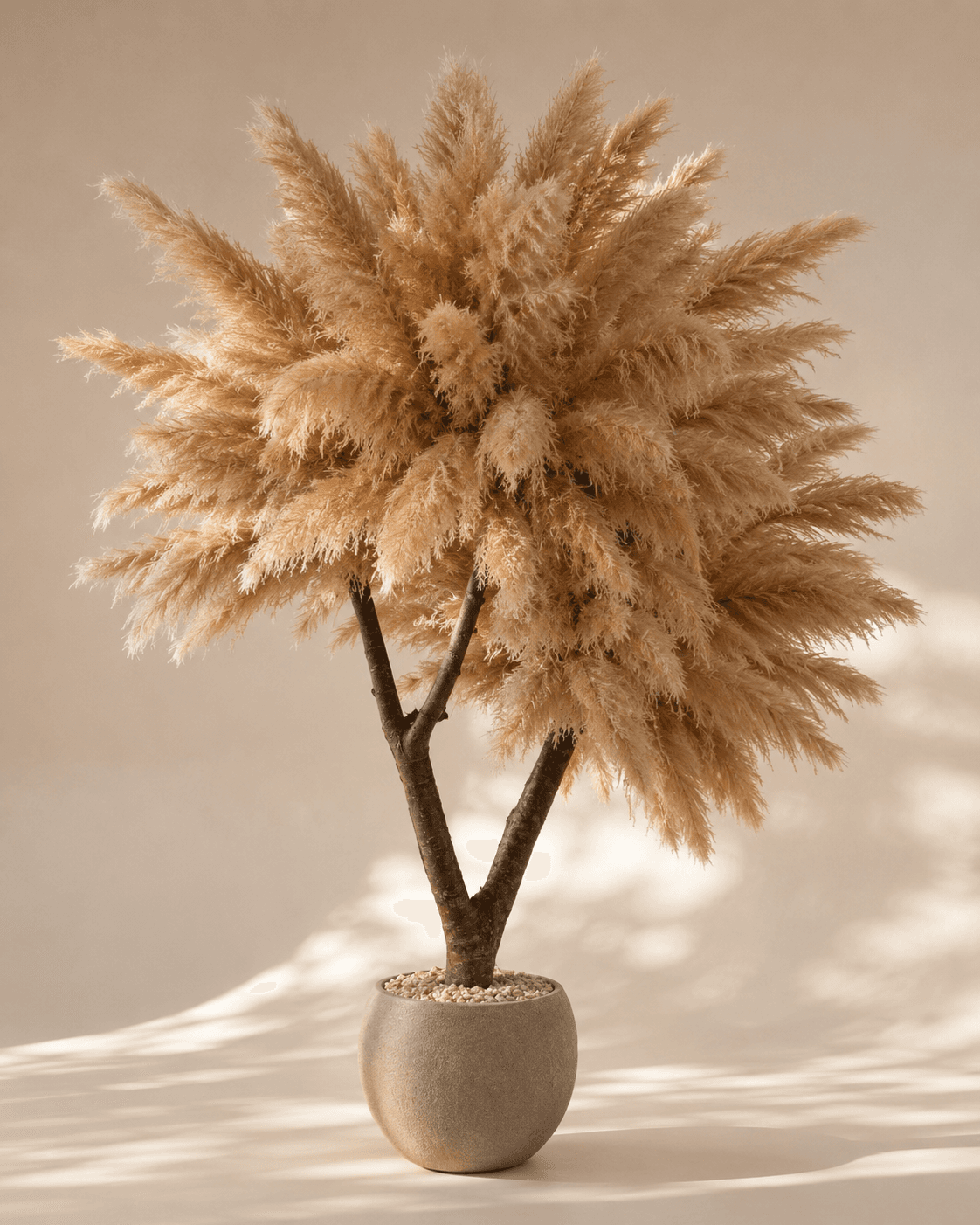 Wild Pampas Tree